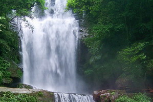 赤水燕子岩国家森林公园天气